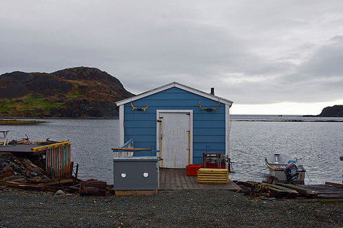 Blue Shed, Twillingate, Newfoundland, 5/2011