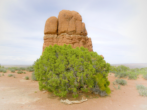 Arches NP 1, Utah 5/2010