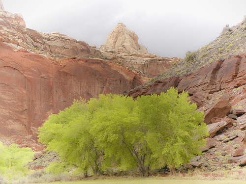 Capital Reef NP Utah 5/2010