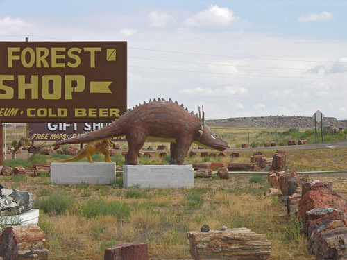 Dinosaur Petrified Forest