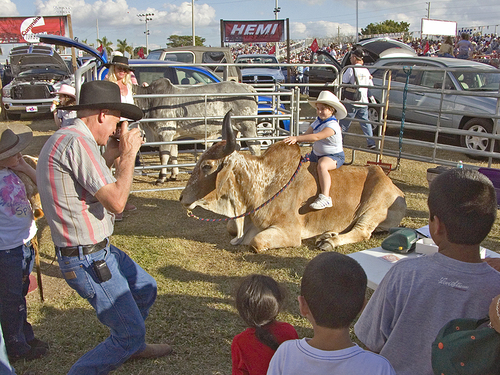 Zebu Homestead Rodeo Fl