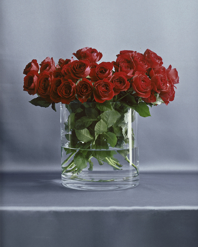 Fuji Roses