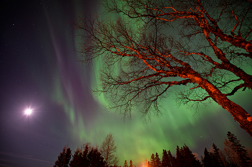 a_Spirts Of The Night