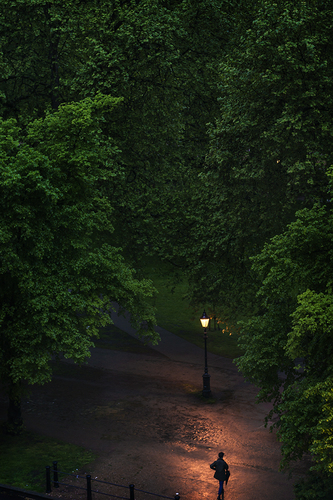 Lone Figure Hyde Park London