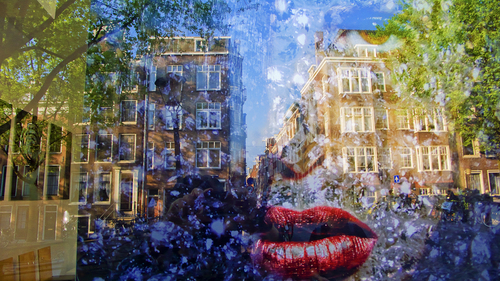 See-Thru_Amsterdam
