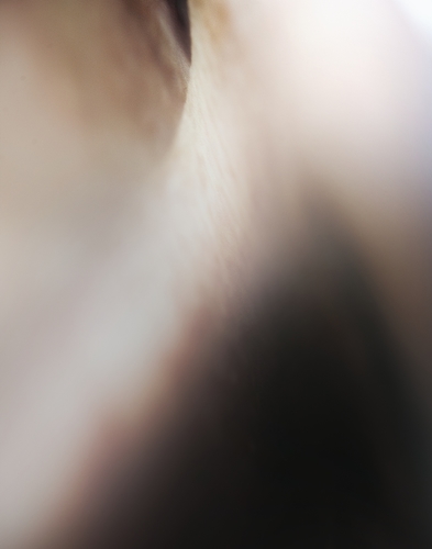 Schuler-Mark_Sideway Glance