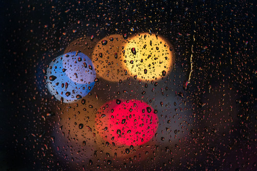 City lights