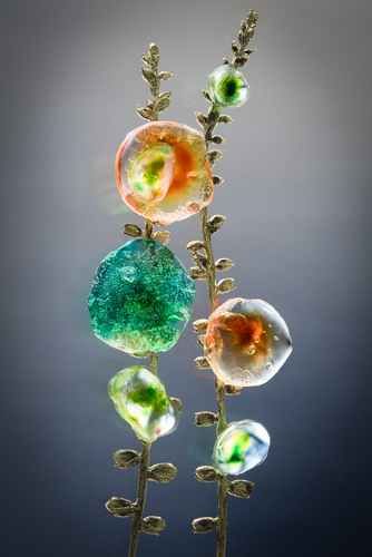 Lumiflori 02