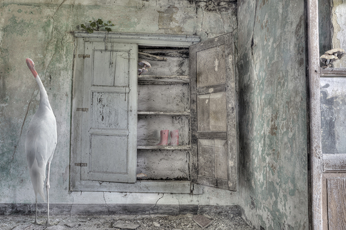 Room no. 10 ( I travel alone )