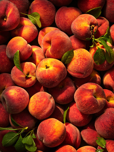 Peaches