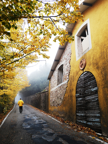 In a Yellow Place