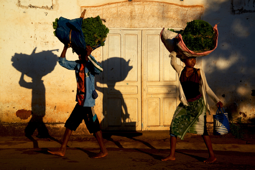 Market Day
