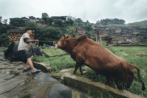 Farming