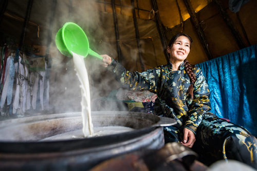 Gerel, a Tsaatan woman who aerates reindeer milk