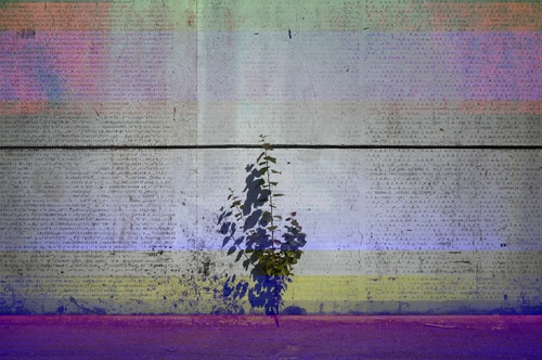 Digitization Error No. 1