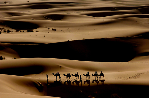 Erg Chebbi