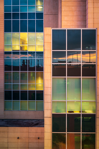Life Reflected