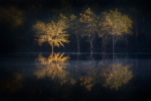 Gold at Indian Lake