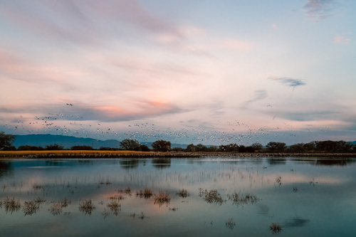 Land of Enchantment