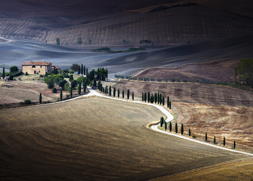 A tuscany view