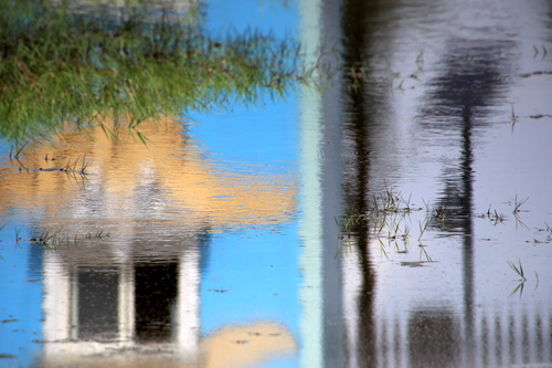 Shadows On The Water