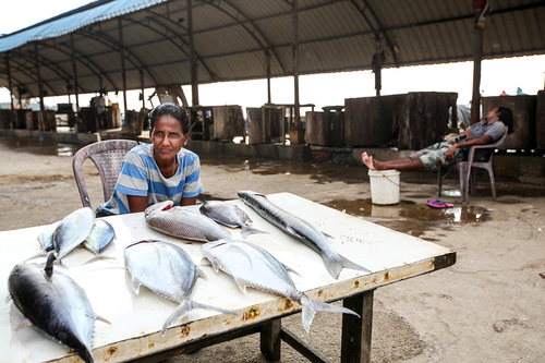 The Fishwife