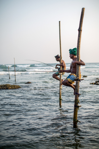 Stilt fishing