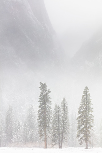 Winter Arrives