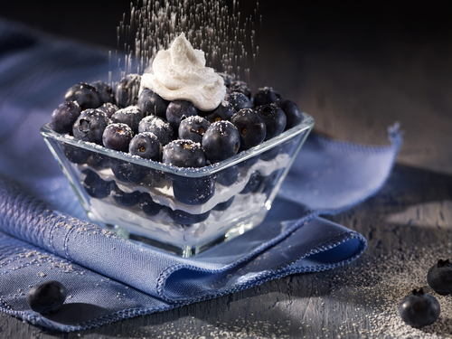 Blueberry Yogurt