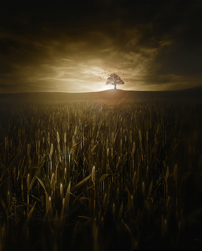 A lone