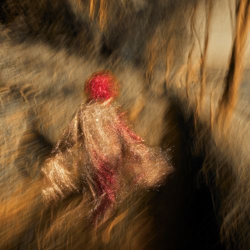 On the Path