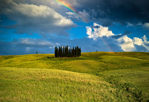Arcobaleno su cipressini