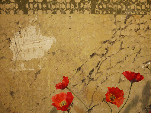 flowers and wallpaper