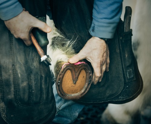 The farrier 