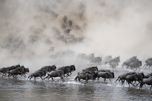 Migration 01