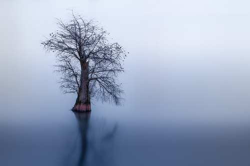 Enchanted