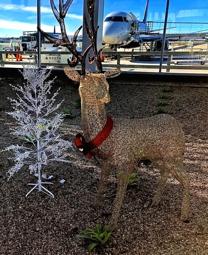 SoCal Christmas