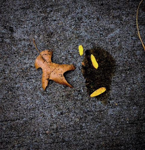 Leaves with Watermark