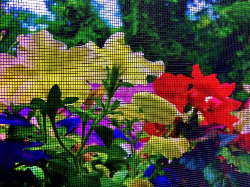 Flower Box