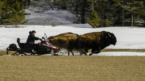 The race