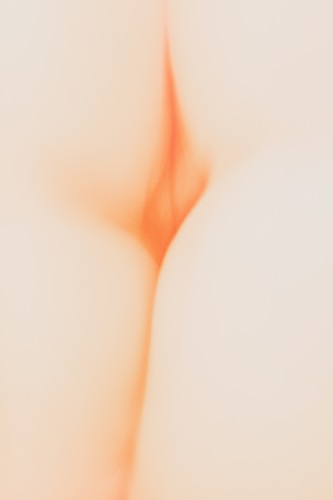 The Flower