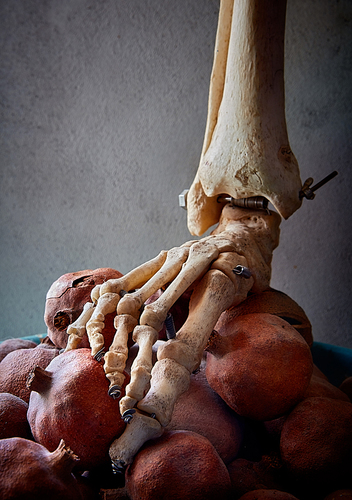 Skeleton and Pomegranates