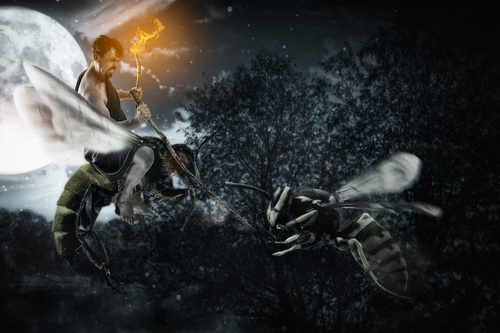Moonlit Battles at Dawn