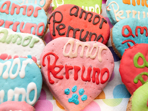 Amor perruno