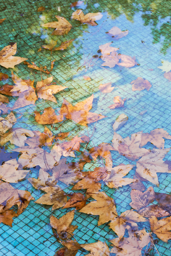 afloat