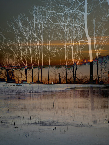 Imaginary Landscapes