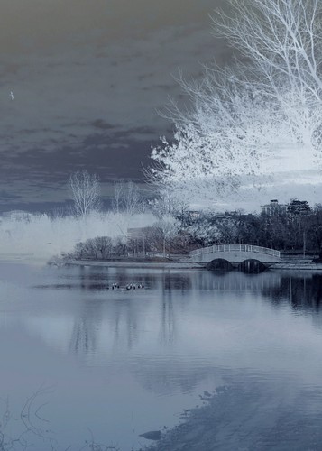 Winterland