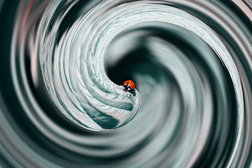 Arrival