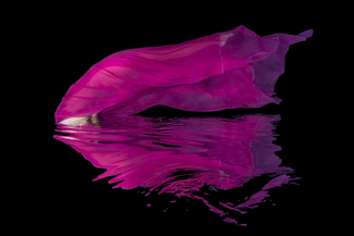 Color Awards Winners and Nominees