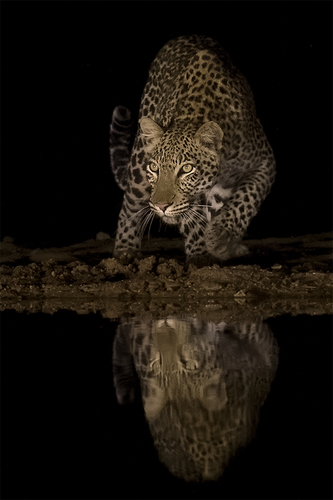 Silent and Stealthy